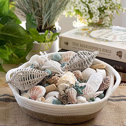 ANDALUCA Ocean Plumes Scented Seashell Potpourri | Made in California | Large 20 oz Bag + Fragrance Vial | Scents of Orange, Lime, Bergamot, Lily, Rose and Tonka Beans | Coastal Home Decor