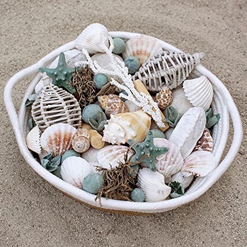 ANDALUCA Ocean Plumes Scented Seashell Potpourri | Made in California | Large 20 oz Bag + Fragrance Vial | Scents of Orange, Lime, Bergamot, Lily, Rose and Tonka Beans | Coastal Home Decor