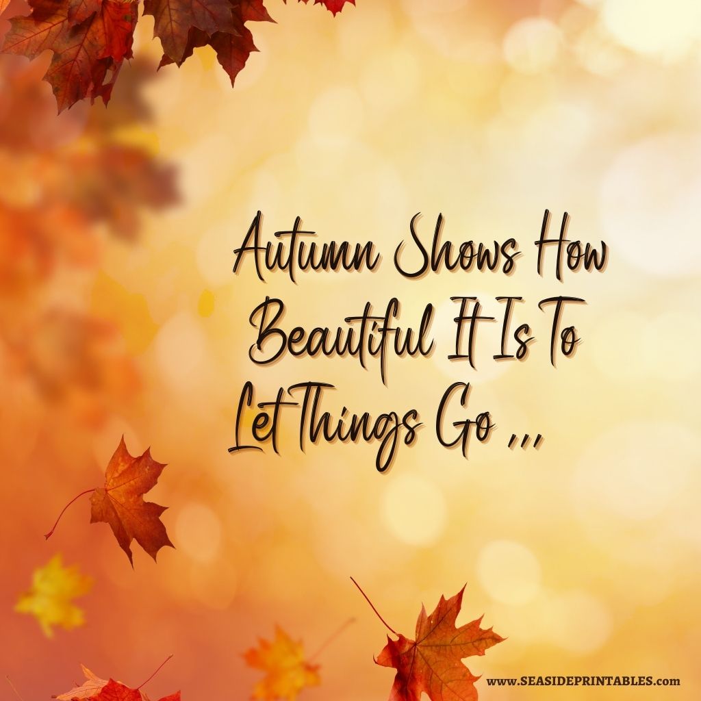 Fall Into Self Care