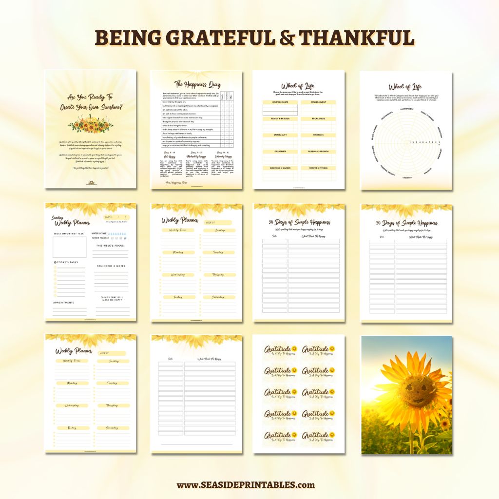 Sunshine Gratitude Journal